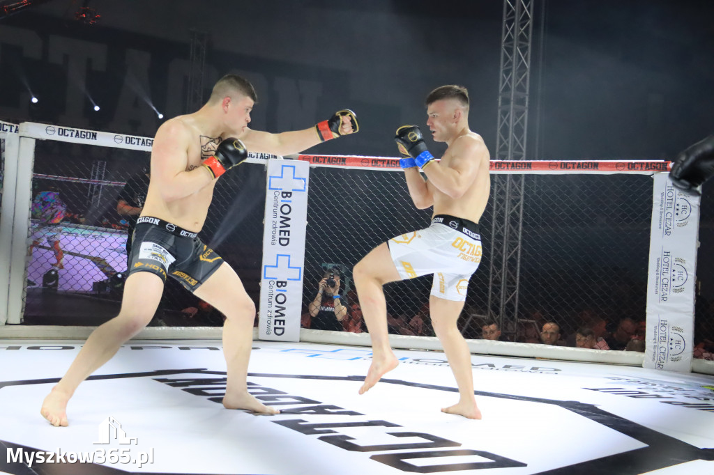 Gala Octagon Fight League 11 zdjęcia z niej! część 2