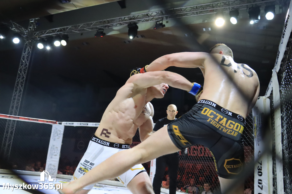 Gala Octagon Fight League 11 zdjęcia z niej! część 2