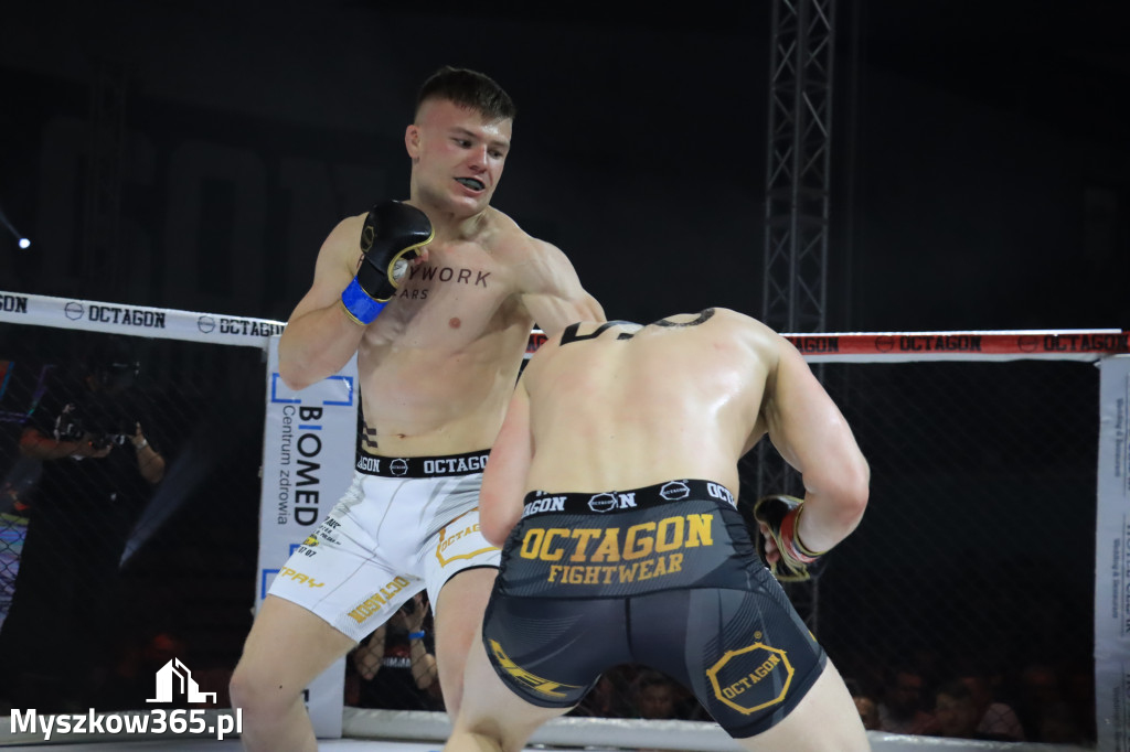 Gala Octagon Fight League 11 zdjęcia z niej! część 2