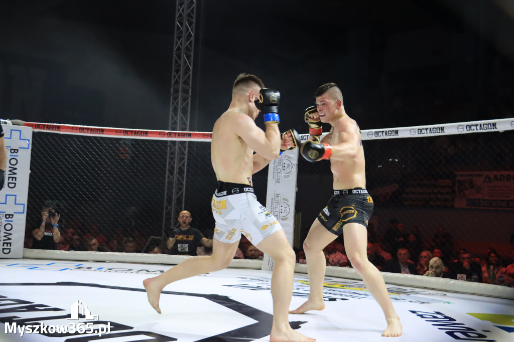 Gala Octagon Fight League 11 zdjęcia z niej! część 2