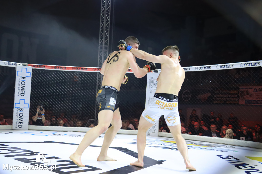 Gala Octagon Fight League 11 zdjęcia z niej! część 2
