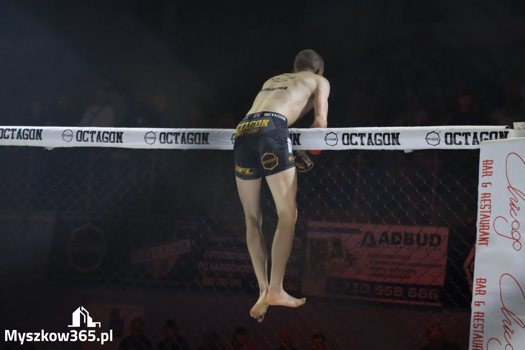 Gala Octagon Fight League 11 zdjęcia z niej! część 2