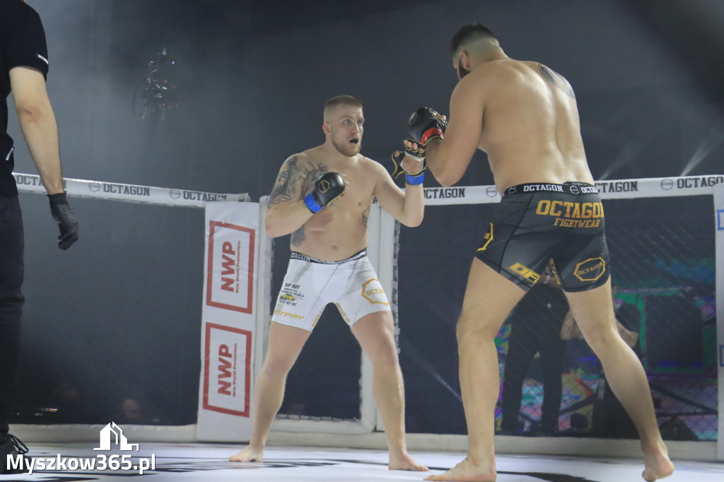 Gala Octagon Fight League 11 zdjęcia z niej! część 2