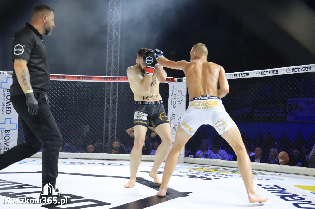 Gala Octagon Fight League 11 zdjęcia z niej! część 2