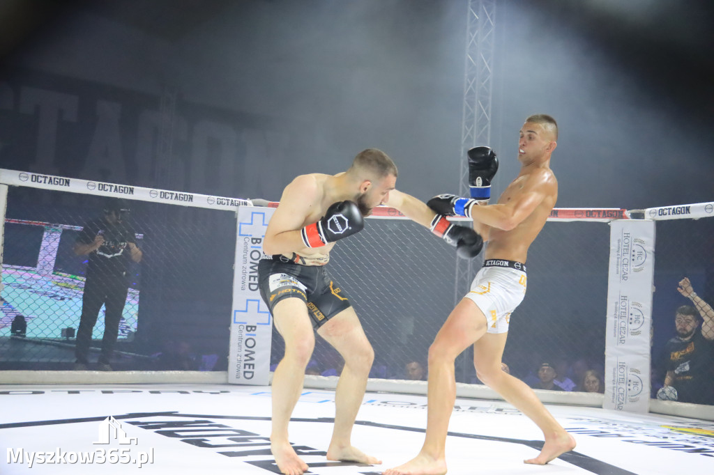 Gala Octagon Fight League 11 zdjęcia z niej! część 2