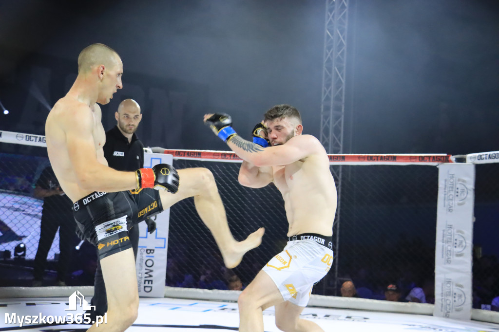Gala Octagon Fight League 11 zdjęcia z niej! część 2