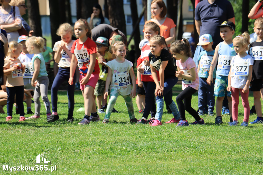 43. Międzynarodowy Bieg 5-ciu stawów w Myszkowie.