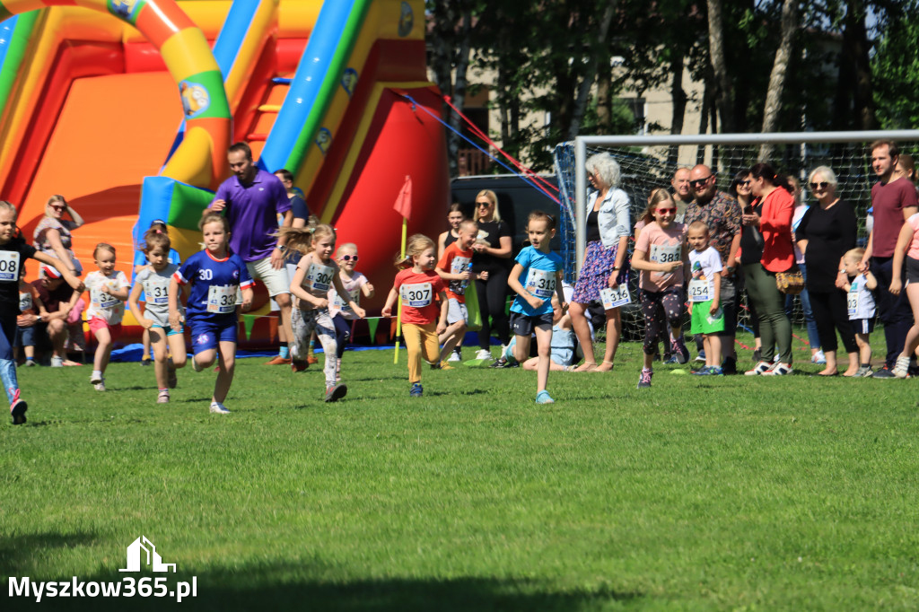 43. Międzynarodowy Bieg 5-ciu stawów w Myszkowie.
