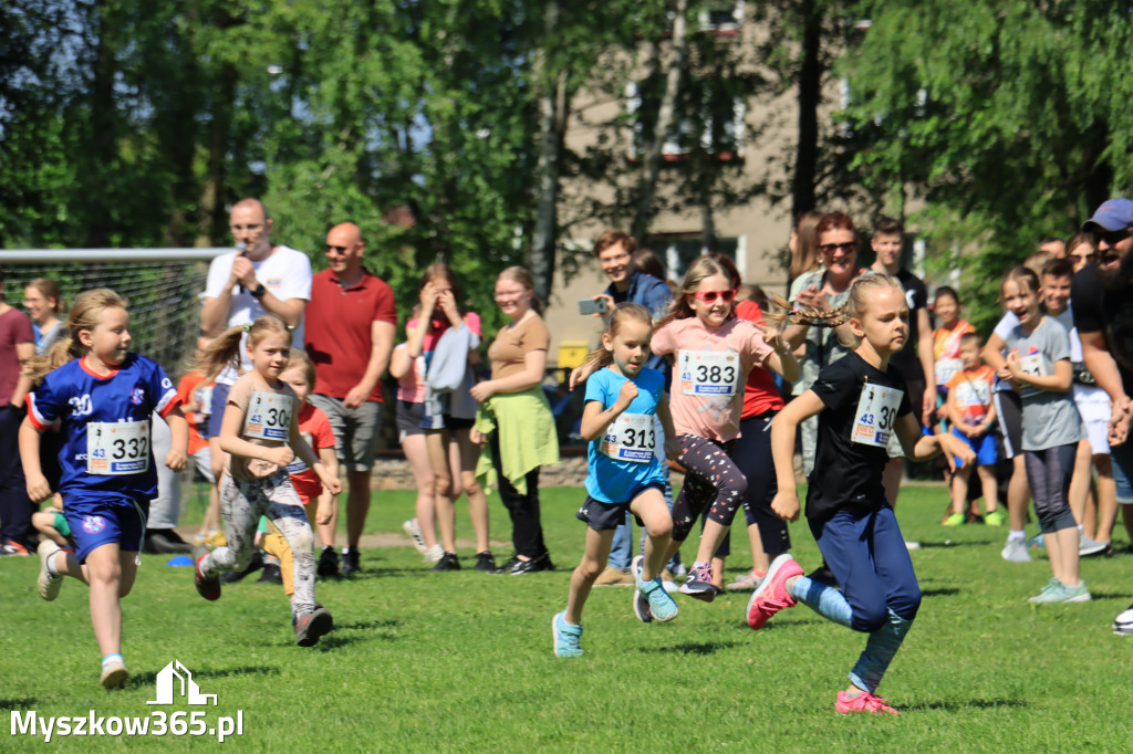 43. Międzynarodowy Bieg 5-ciu stawów w Myszkowie.