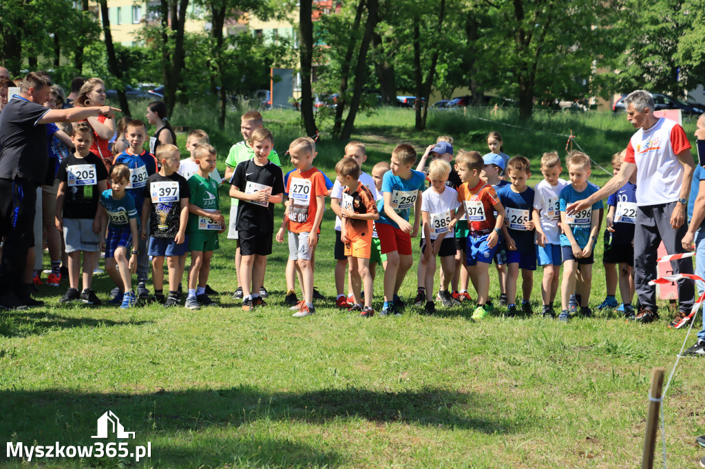 43. Międzynarodowy Bieg 5-ciu stawów w Myszkowie.