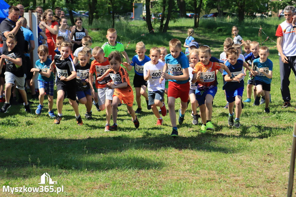 43. Międzynarodowy Bieg 5-ciu stawów w Myszkowie.