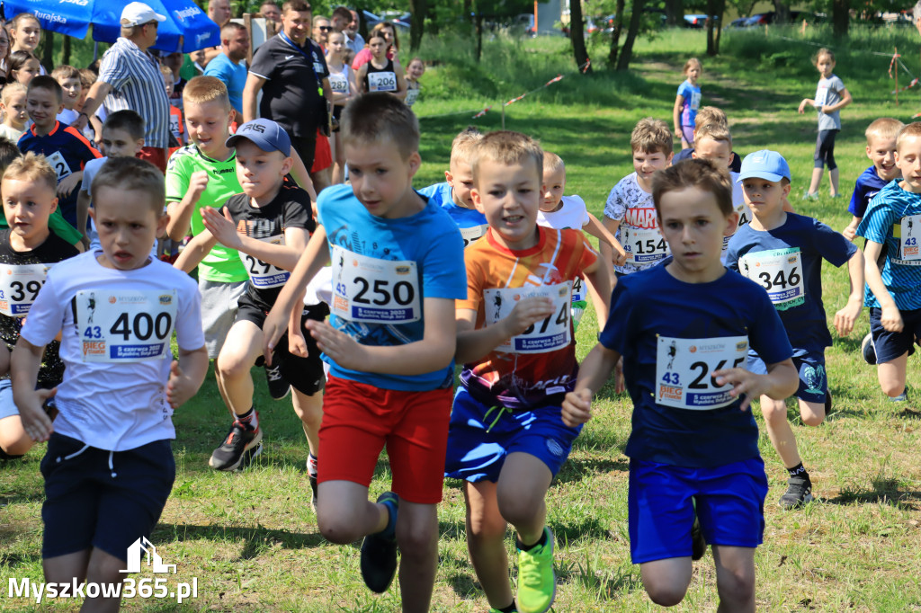 43. Międzynarodowy Bieg 5-ciu stawów w Myszkowie.