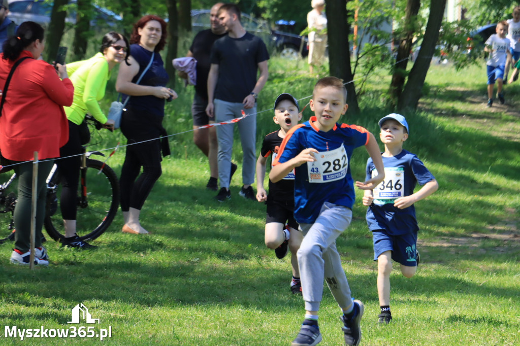 43. Międzynarodowy Bieg 5-ciu stawów w Myszkowie.