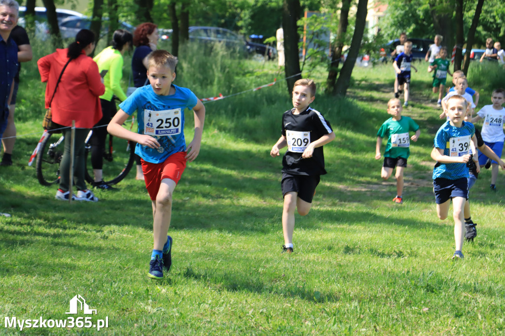 43. Międzynarodowy Bieg 5-ciu stawów w Myszkowie.