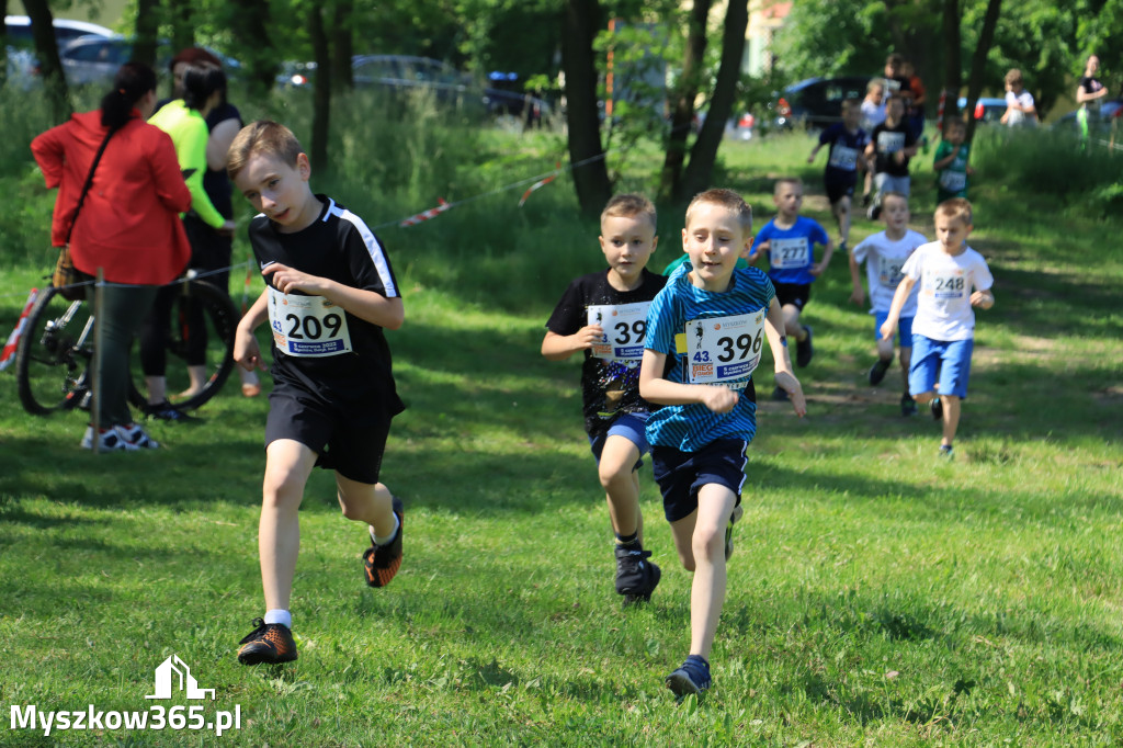 43. Międzynarodowy Bieg 5-ciu stawów w Myszkowie.