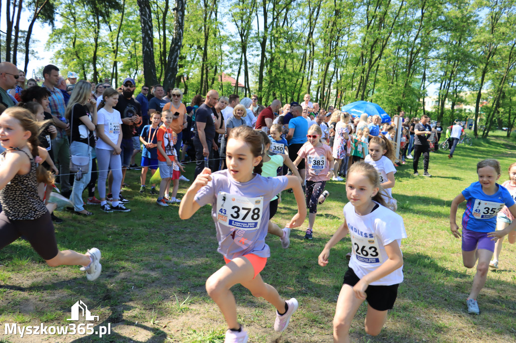 43. Międzynarodowy Bieg 5-ciu stawów w Myszkowie.