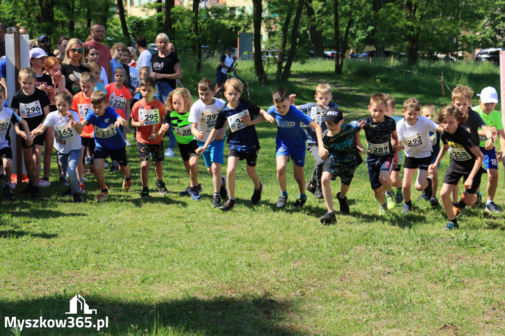 43. Międzynarodowy Bieg 5-ciu stawów w Myszkowie.