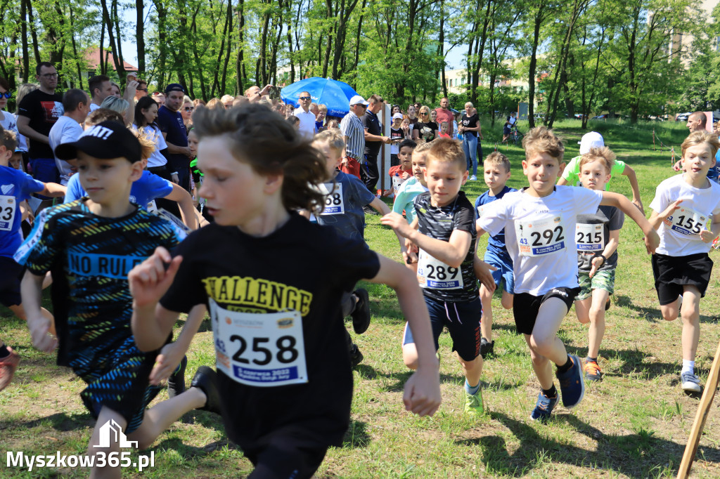 43. Międzynarodowy Bieg 5-ciu stawów w Myszkowie.