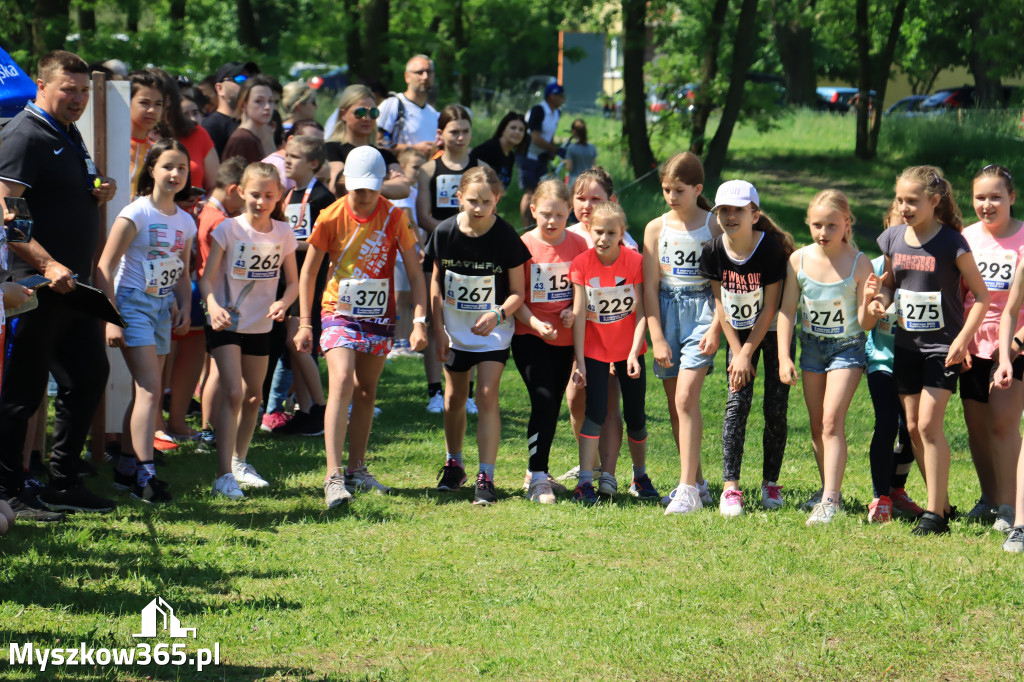 43. Międzynarodowy Bieg 5-ciu stawów w Myszkowie.