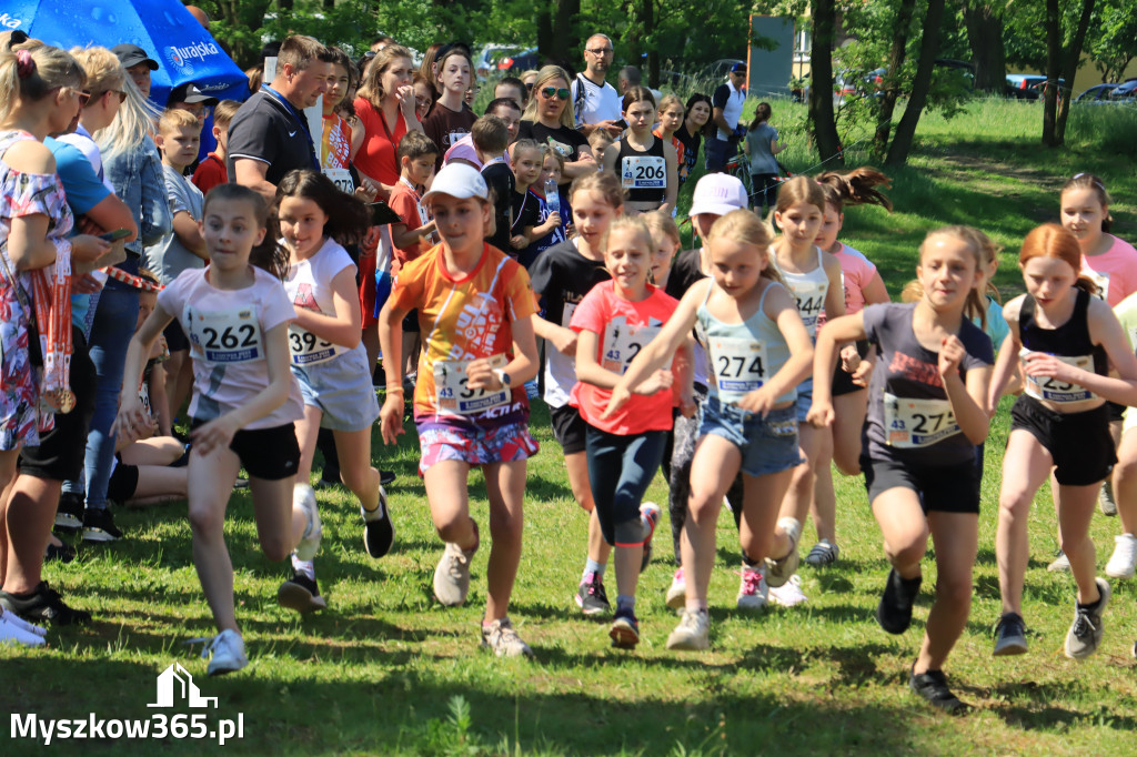 43. Międzynarodowy Bieg 5-ciu stawów w Myszkowie.