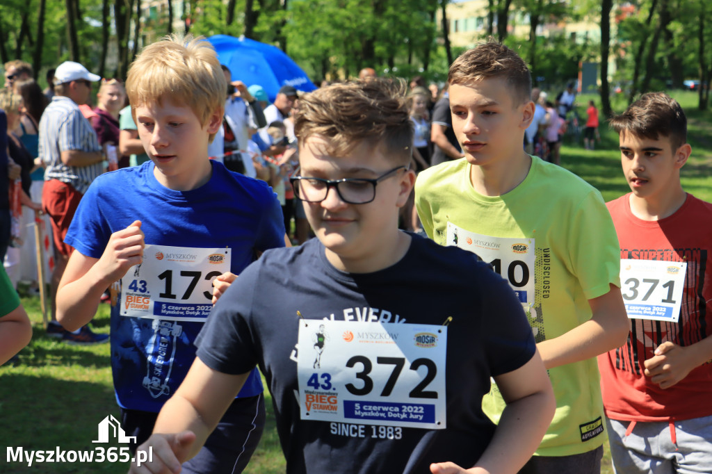 43. Międzynarodowy Bieg 5-ciu stawów w Myszkowie.