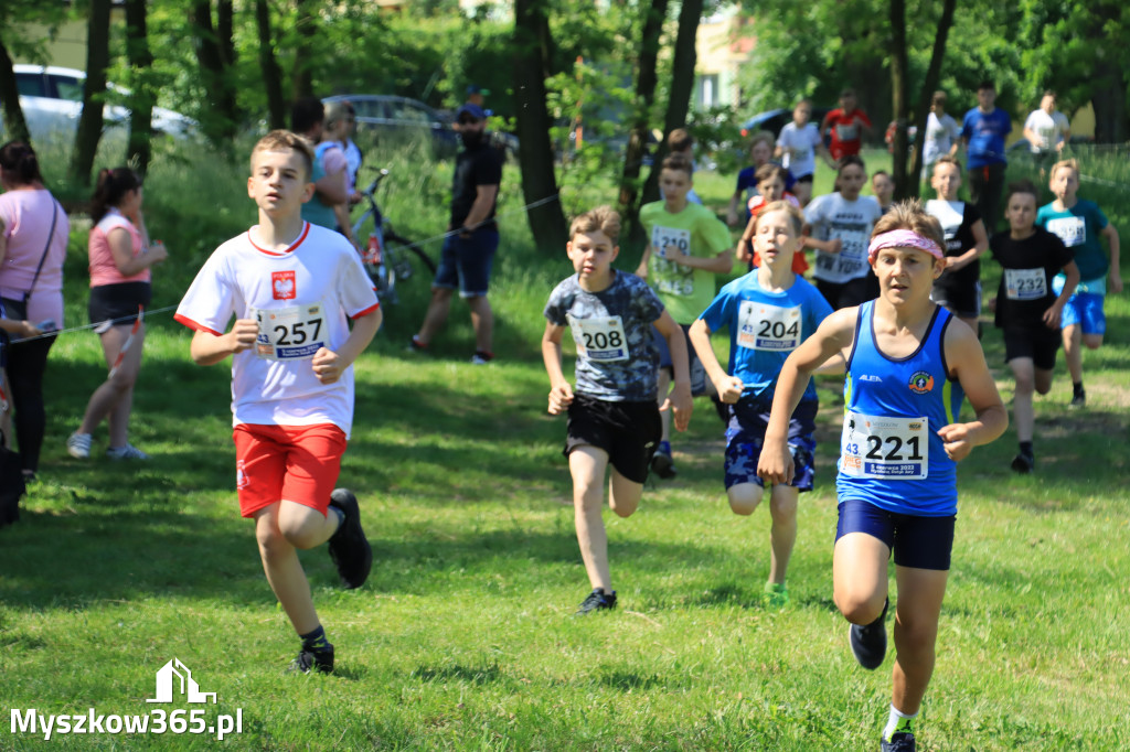43. Międzynarodowy Bieg 5-ciu stawów w Myszkowie.