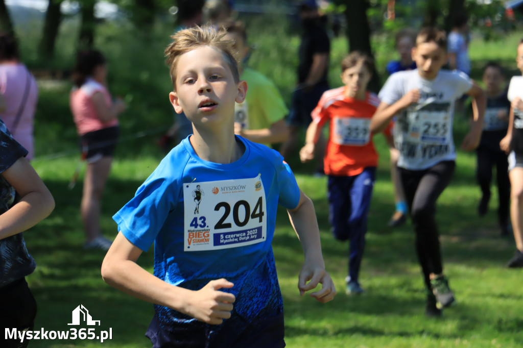 43. Międzynarodowy Bieg 5-ciu stawów w Myszkowie.