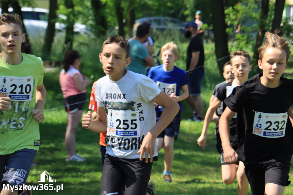 43. Międzynarodowy Bieg 5-ciu stawów w Myszkowie.