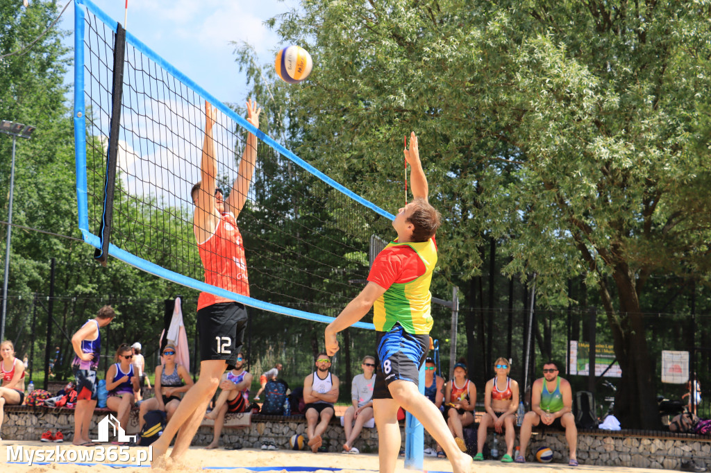 PLAŻOWY DOTYK JURY 2022