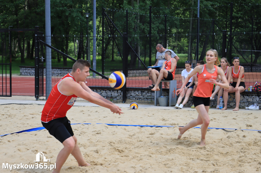 PLAŻOWY DOTYK JURY 2022