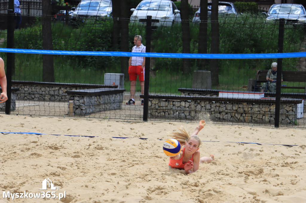 PLAŻOWY DOTYK JURY 2022
