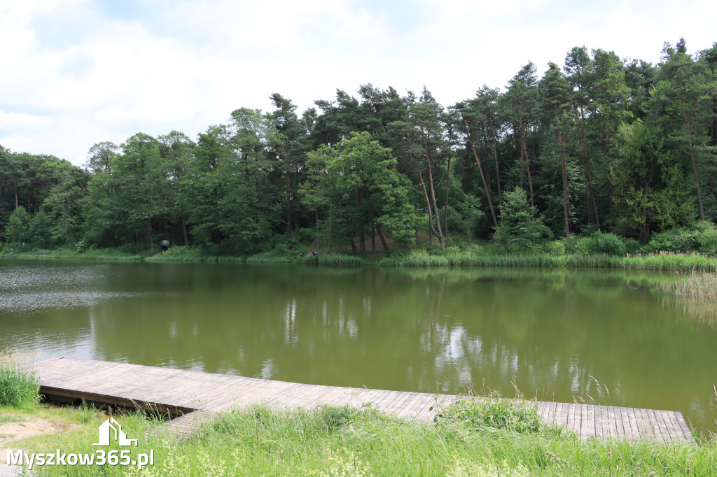 Sezon na Pstrąga w Złotym Potoku rozpoczęty.
