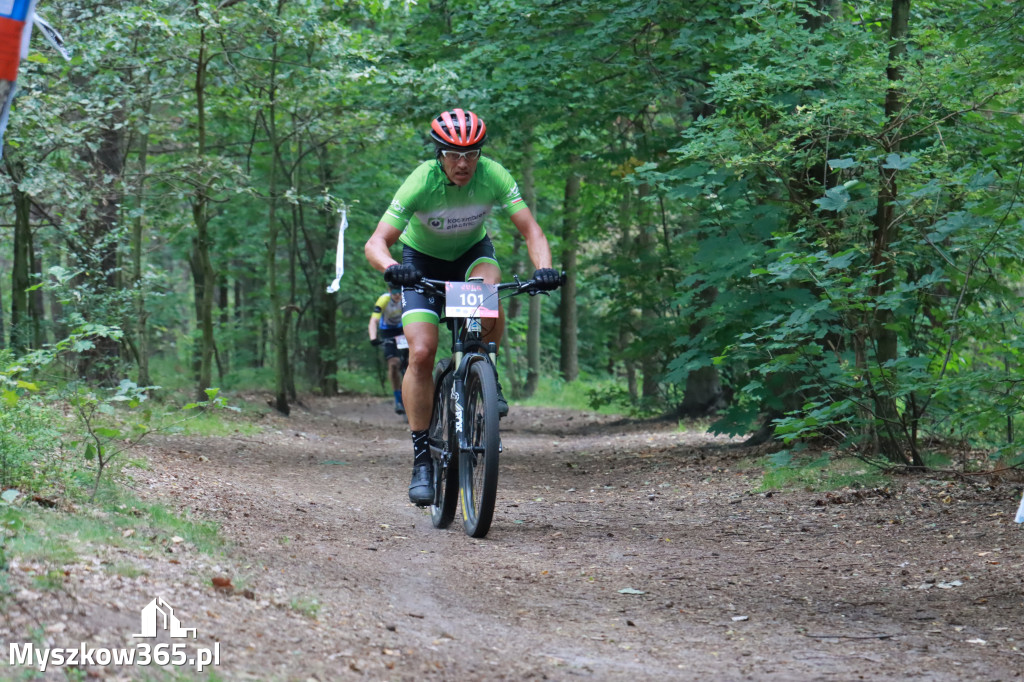 JURA MTB Race - pierwszy etap w Myszkowie