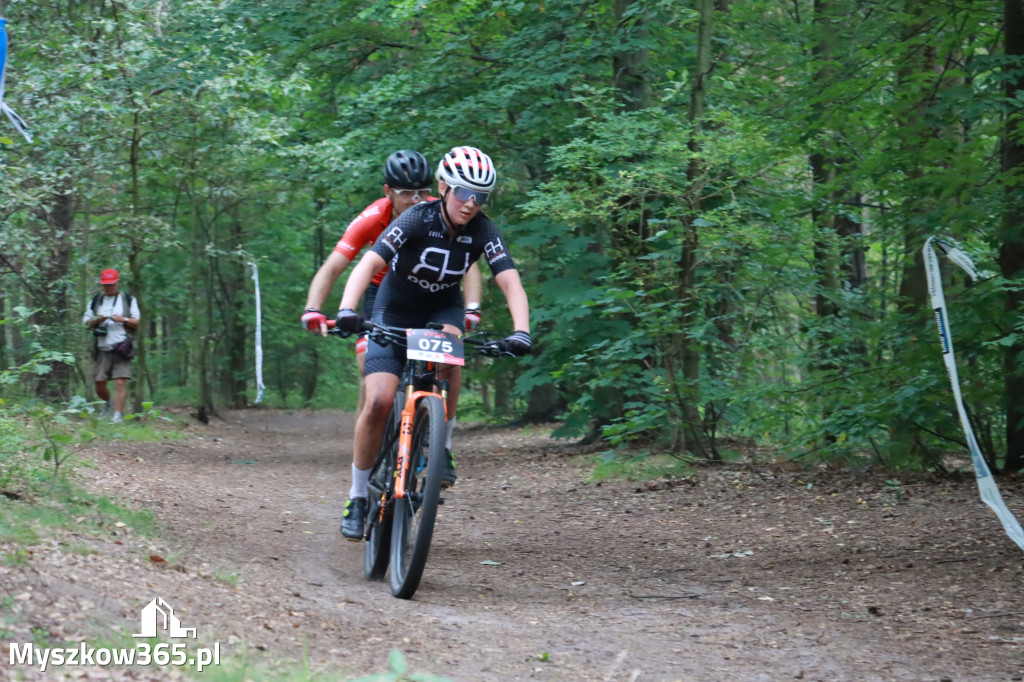 JURA MTB Race - pierwszy etap w Myszkowie