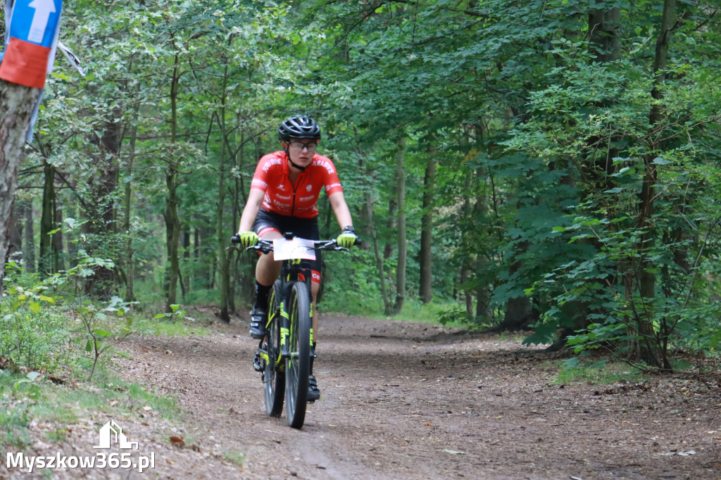 JURA MTB Race - pierwszy etap w Myszkowie