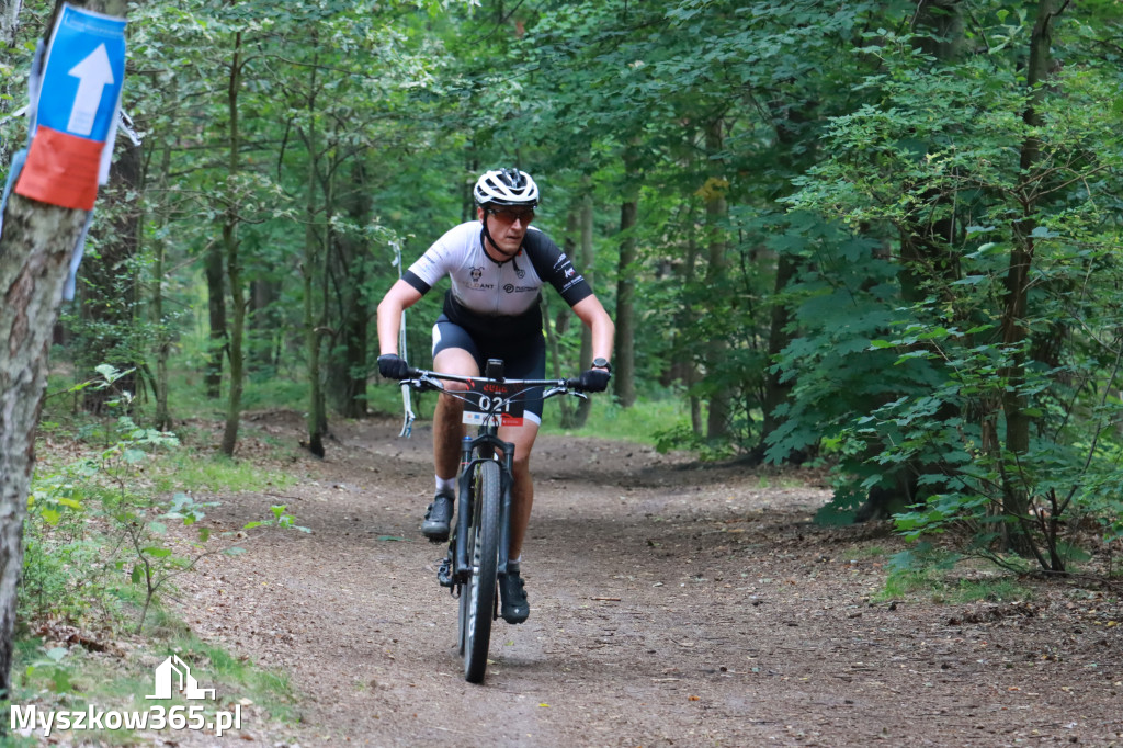 JURA MTB Race - pierwszy etap w Myszkowie