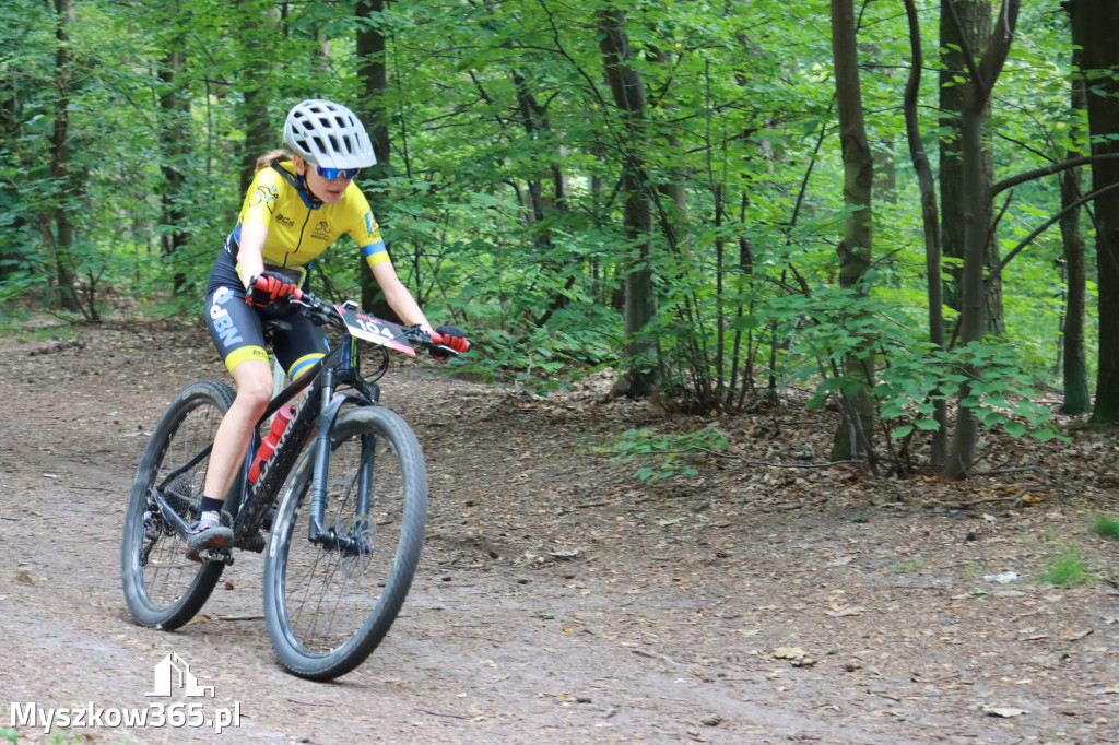 JURA MTB Race - pierwszy etap w Myszkowie