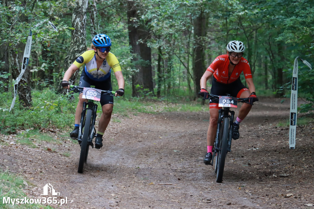 JURA MTB Race - pierwszy etap w Myszkowie