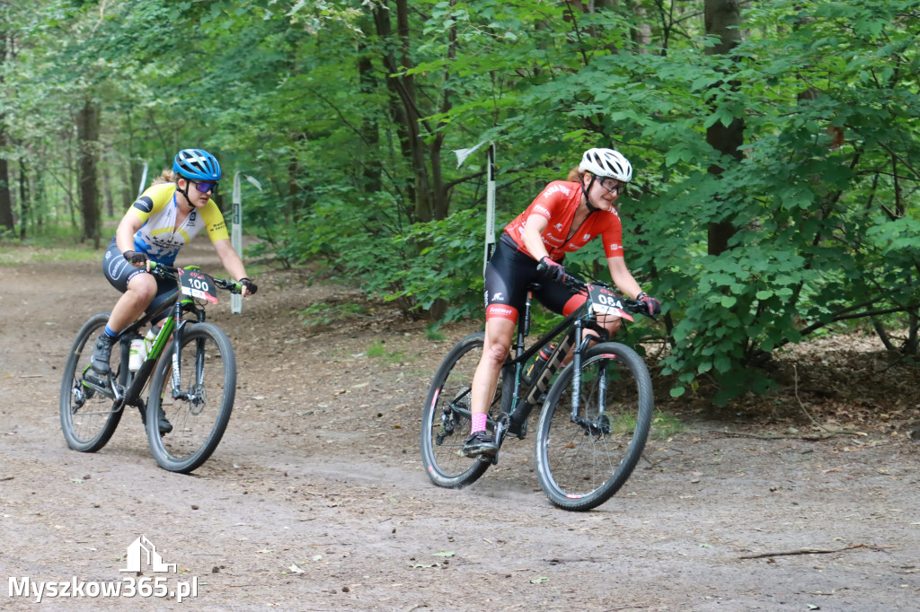 JURA MTB Race - pierwszy etap w Myszkowie