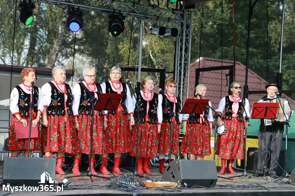 Festiwal Prażonek - Poręba 2022r.