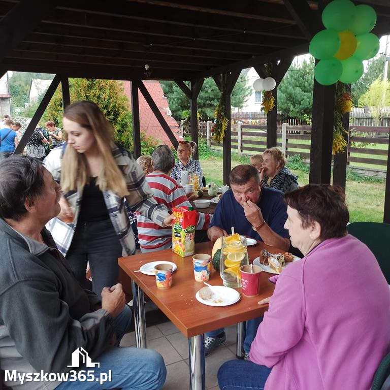Zlot Ciągników i Samoróbek w Jaroszowie.