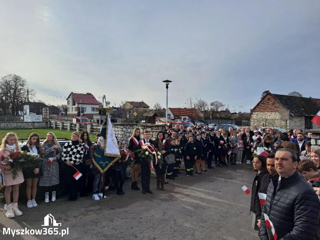 Fotorelacja Obchody Narodowego Święta Niepodległości w dniu 11 listopada w Żarkach