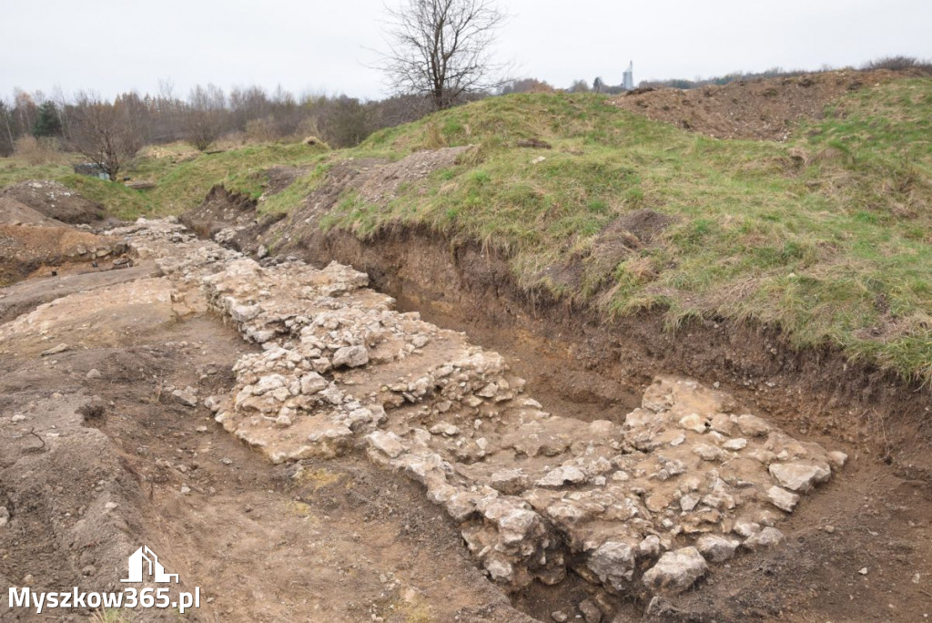 Fotorelacja - prace archeologiczne w Koziegłowach!