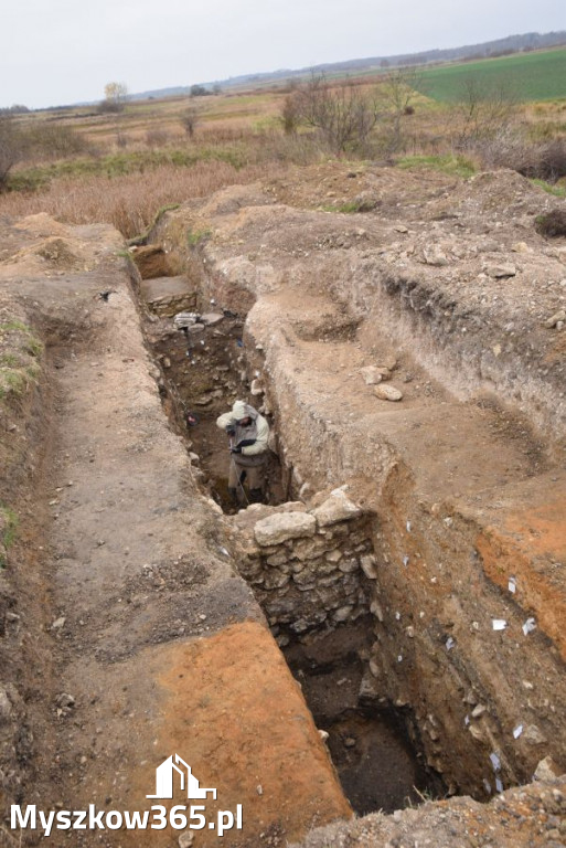 Fotorelacja - prace archeologiczne w Koziegłowach!