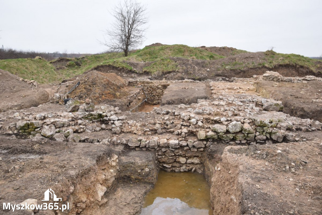 Fotorelacja - prace archeologiczne w Koziegłowach!