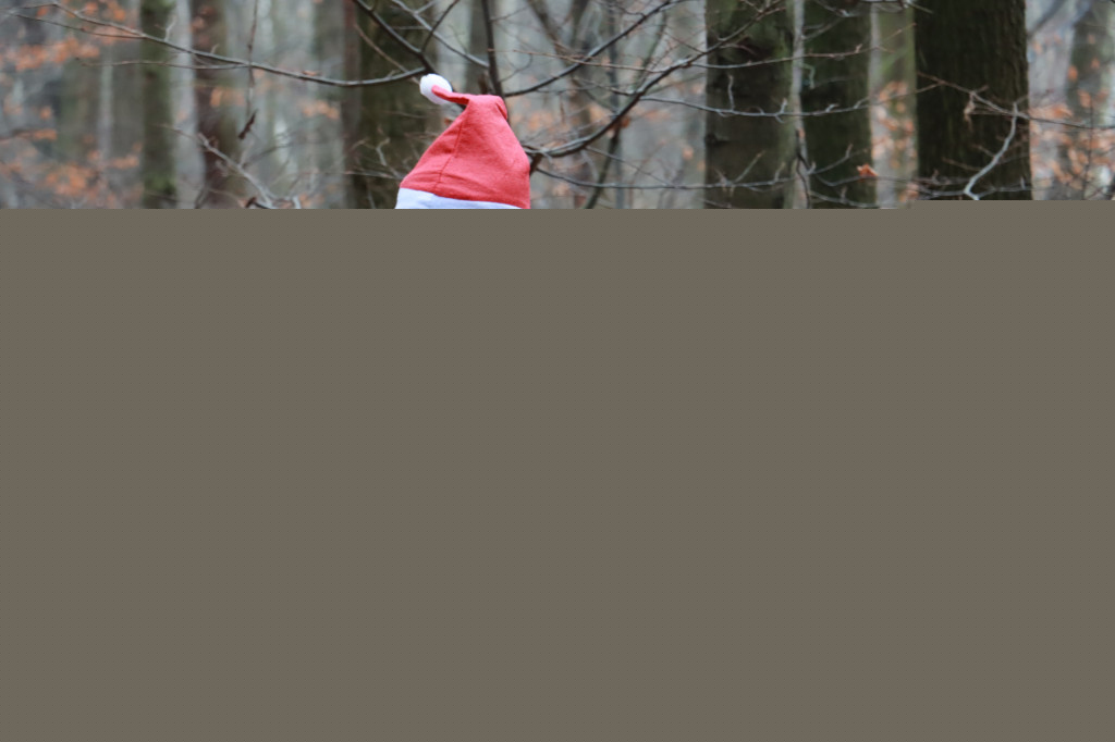 Fotorelacja - Mikołajkowy Bieg po Zdrowie Myszków