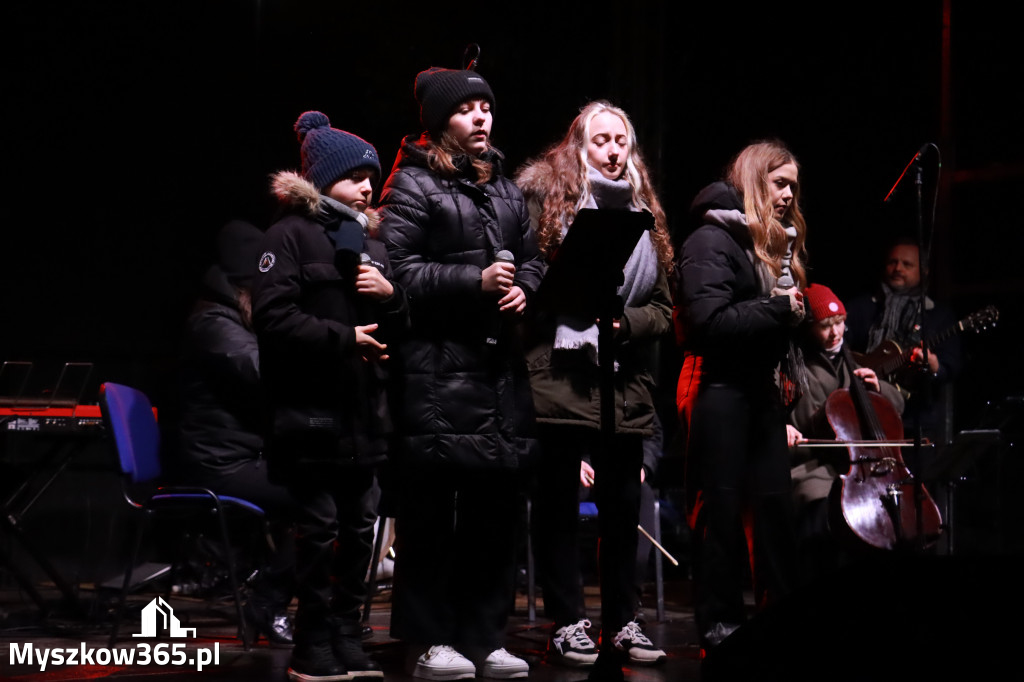 Fotorelacja - Rekonstrukcja Bitwy pod Mrzygłodem.