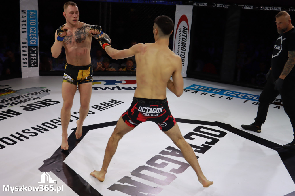 Fotorelacja - Gala Octagon Fight League 12 część 2