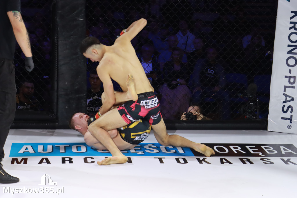 Fotorelacja - Gala Octagon Fight League 12 część 2