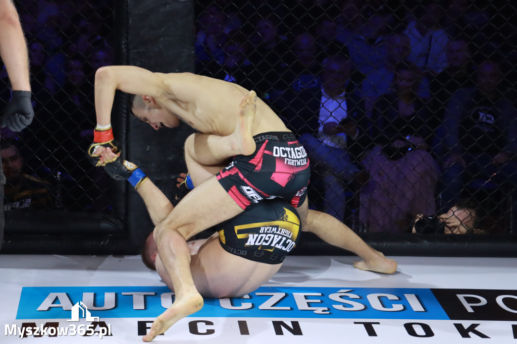 Fotorelacja - Gala Octagon Fight League 12 część 2